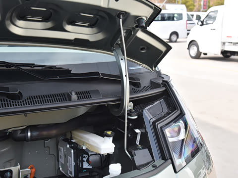 2025 Farizon V6E Image 26